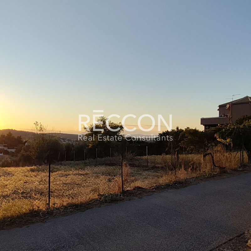 property-img